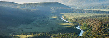 Kariega Game Reserve Settlers Drift Alexandria  Dış mekan fotoğraf