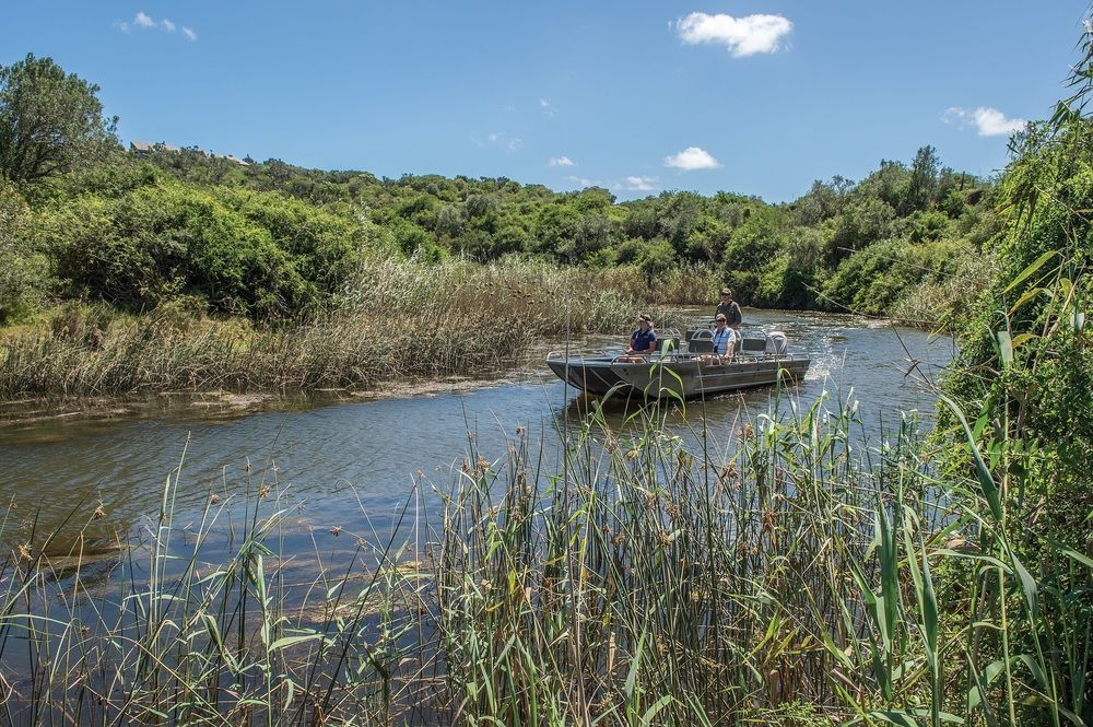 Kariega Game Reserve Settlers Drift Alexandria  Dış mekan fotoğraf