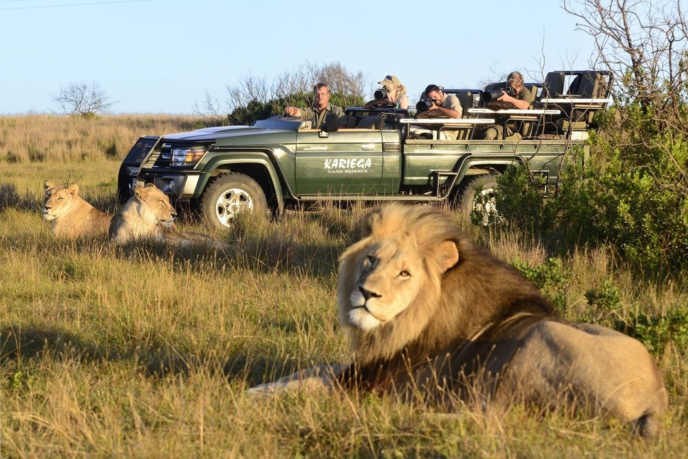 Kariega Game Reserve Settlers Drift Alexandria  Dış mekan fotoğraf