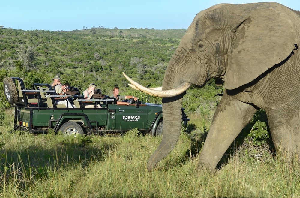 Kariega Game Reserve Settlers Drift Alexandria  Dış mekan fotoğraf