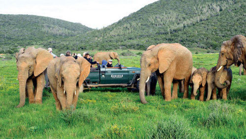 Kariega Game Reserve Settlers Drift Alexandria  Dış mekan fotoğraf