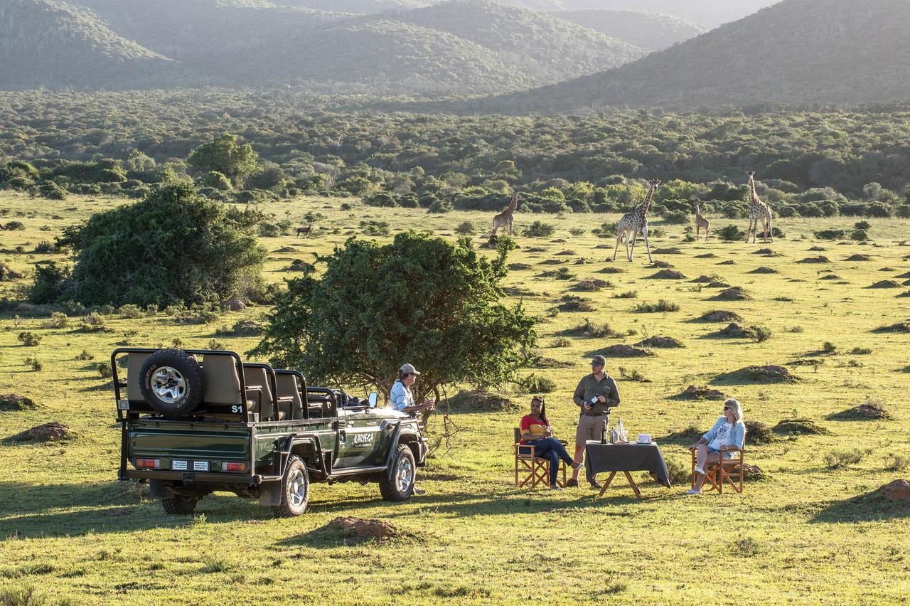 Kariega Game Reserve Settlers Drift Alexandria  Dış mekan fotoğraf